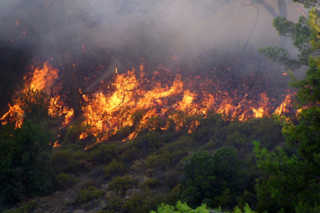 Χειροπέδες σε 56χρονο στα Χανιά – Έκαψε κλαδιά και… λαμπάδιασε η περιοχή!