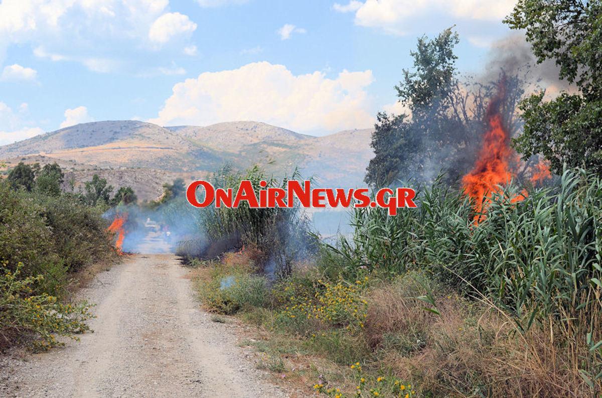 Φωτιές σε Μεσολόγγι και Λάρισα