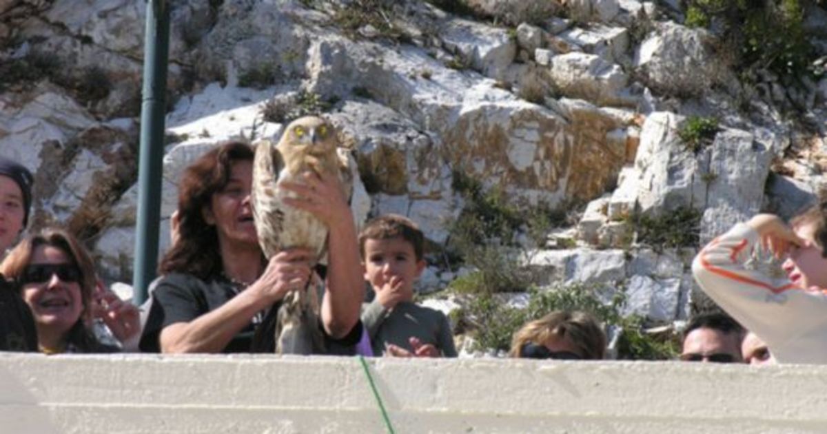 Εναλλακτικά Κούλουμα με την ΑΝΙΜΑ στη Ραφήνα