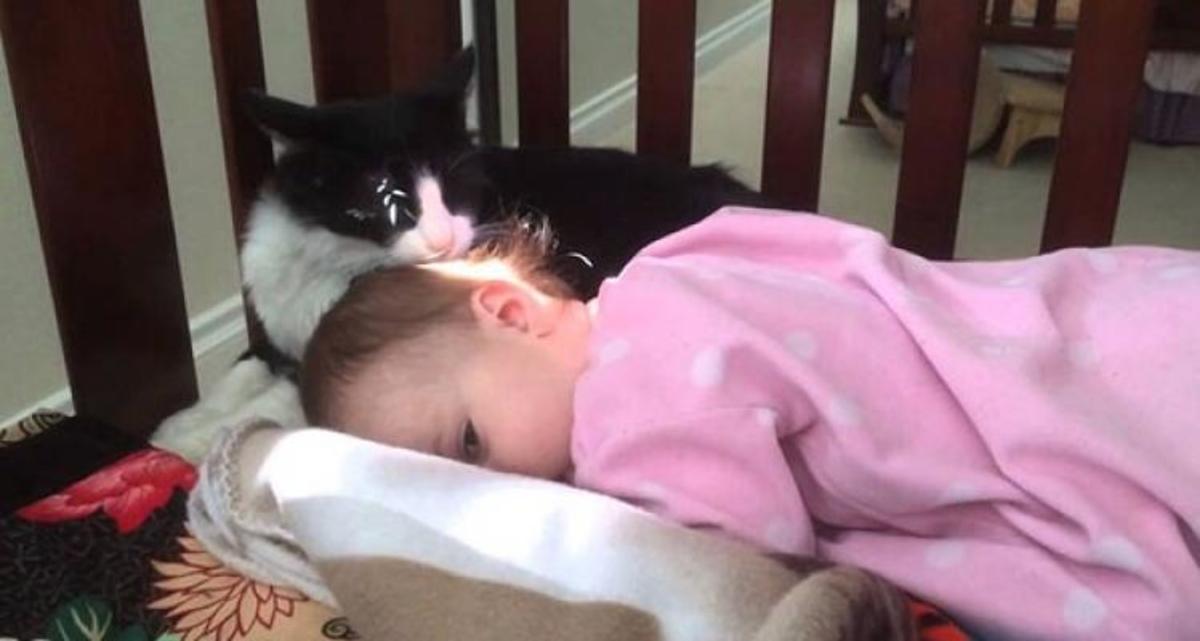 Η γάτα που μπέρδεψε το παιδί με το γατάκι της!