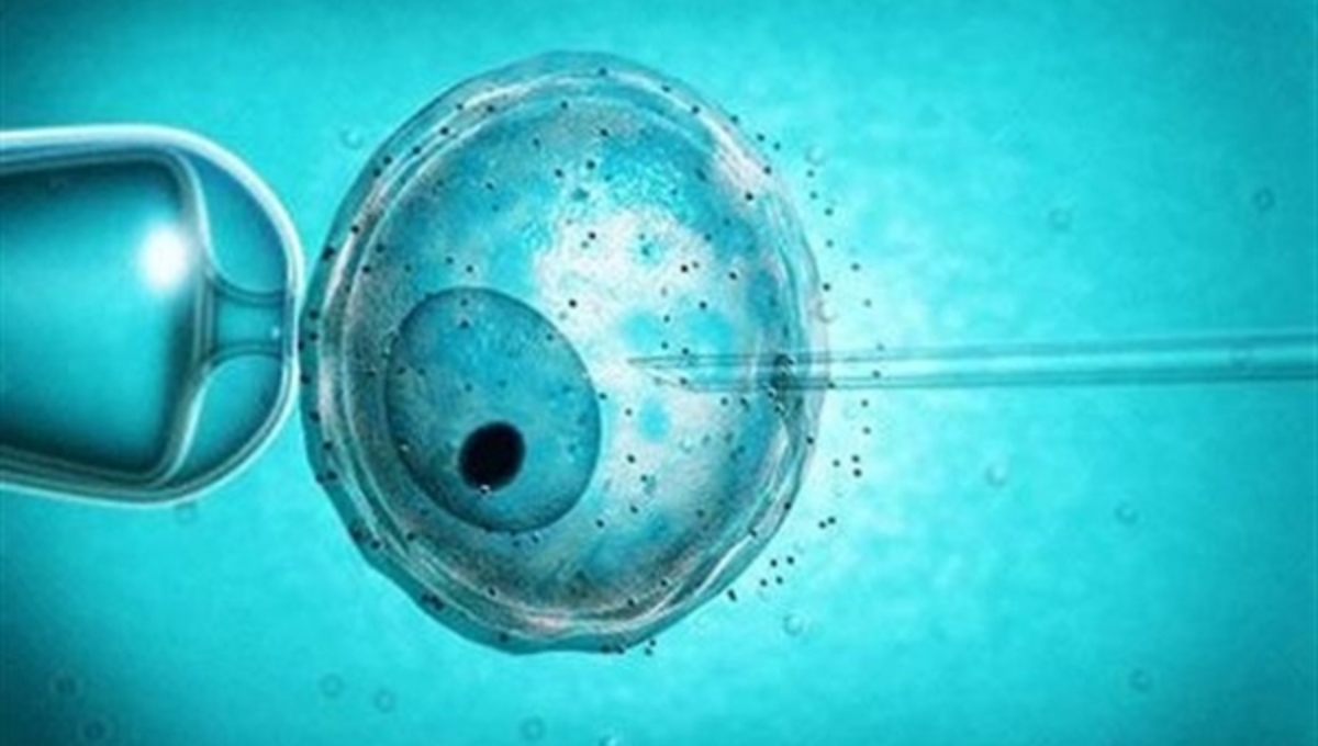 Τεχνητή γονιμοποίηση με το σπέρμα του νεκρού συζύγου της