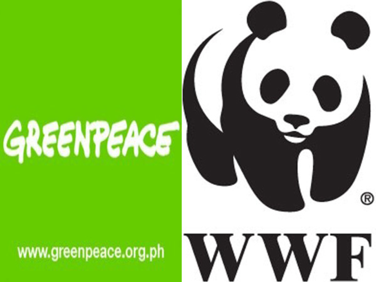 ActionAid, Greenpeace και WWF απαντούν για το σκάνδαλο με τις ΜΚΟ