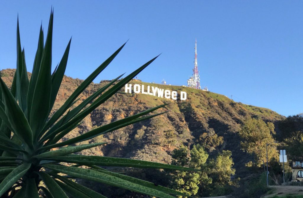 Τι “πίνεις”; Έκαναν το Hollywood… Hollyweed [pics]