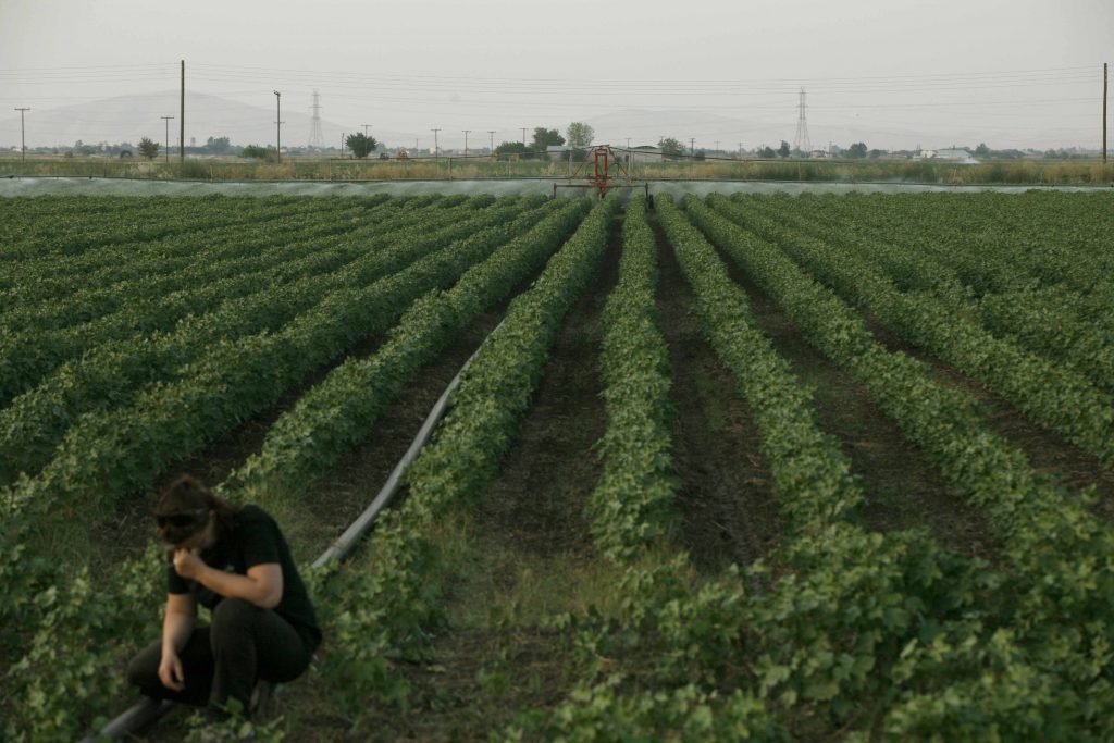 Ποιοί αγρότες θα λάβουν την Πέμπτη την ενίσχυση του ΕΛΓΑ