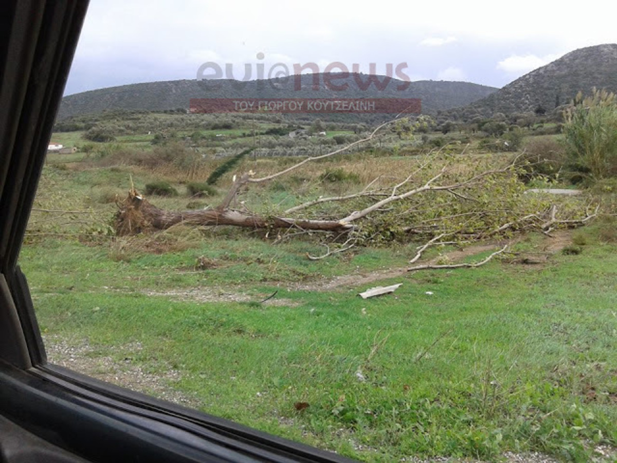 Εύβοια: Ανεμοστρόβιλος χτύπησε το χωριό Κόσκινα – ΦΩΤΟ