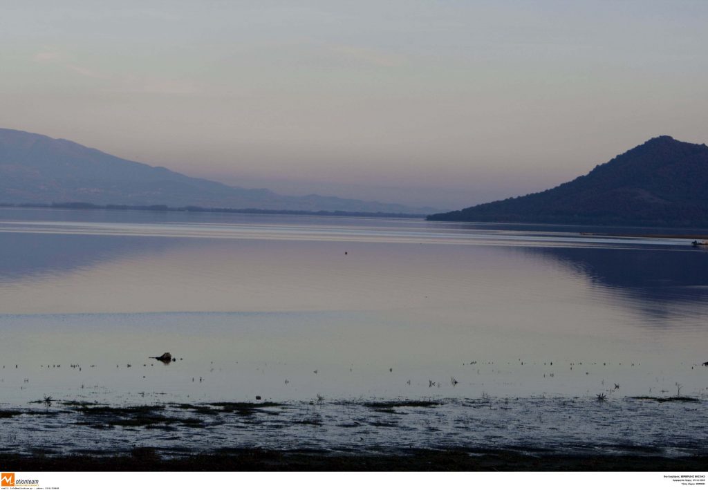 Επικίνδυνα για τη δημόσια υγεία τα ψάρια, εξαιτίας ενός τοξικού βακτηρίου