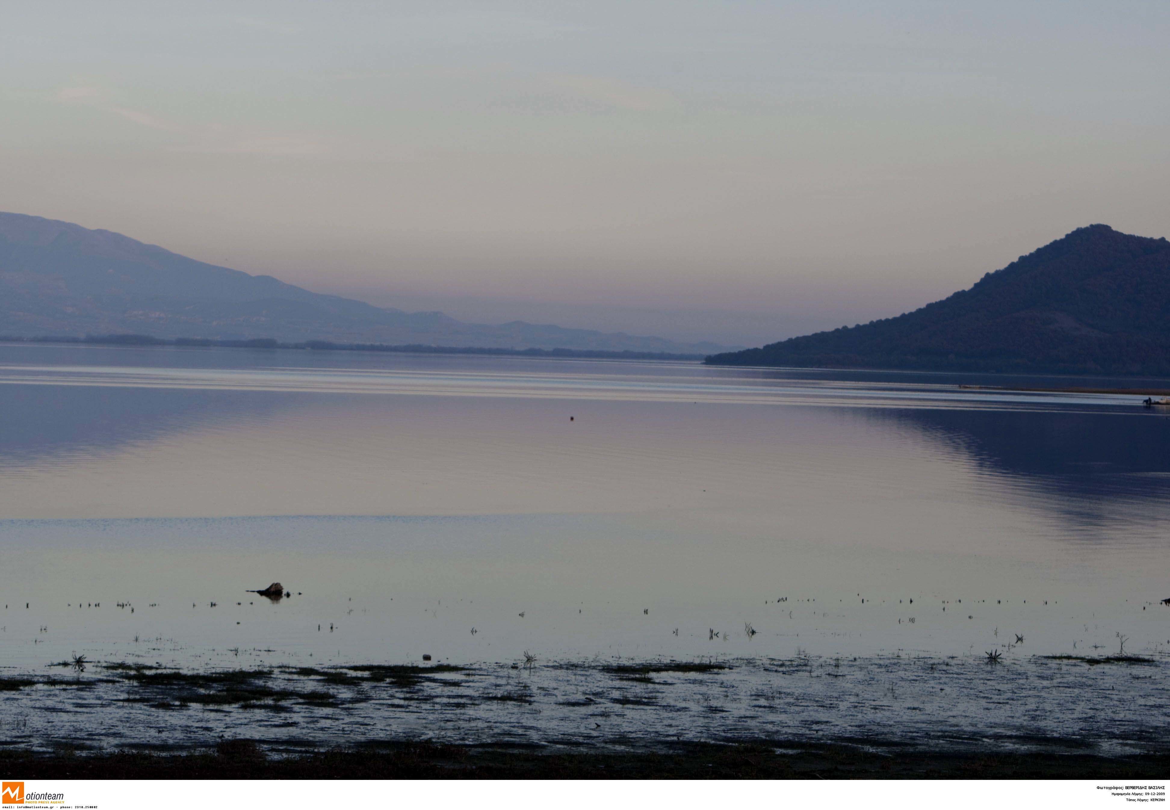 Επικίνδυνα για τη δημόσια υγεία τα ψάρια, εξαιτίας ενός τοξικού βακτηρίου