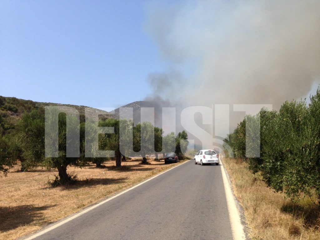 Σε εξέλιξη φωτιά κοντά στην Πύλο (ΦΩΤΟ)