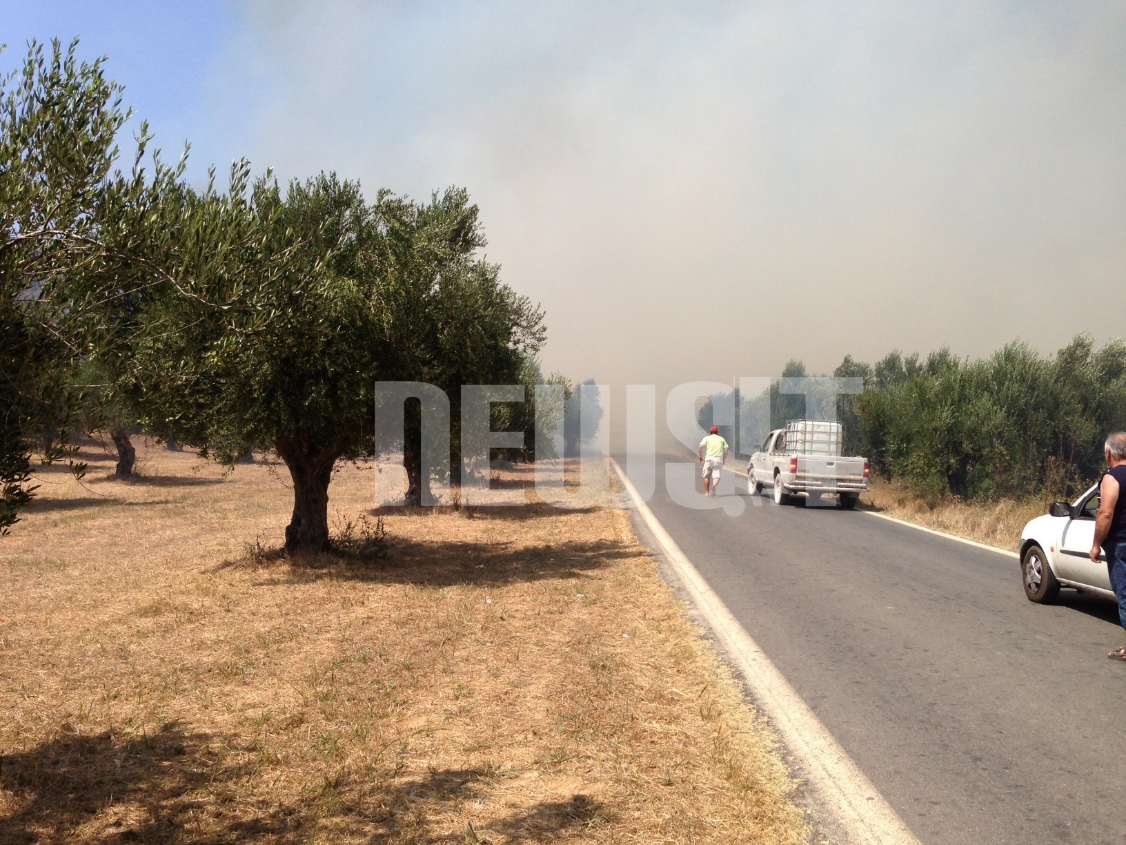 Υπό μερικό έλεγχο η φωτιά στην Πύλο