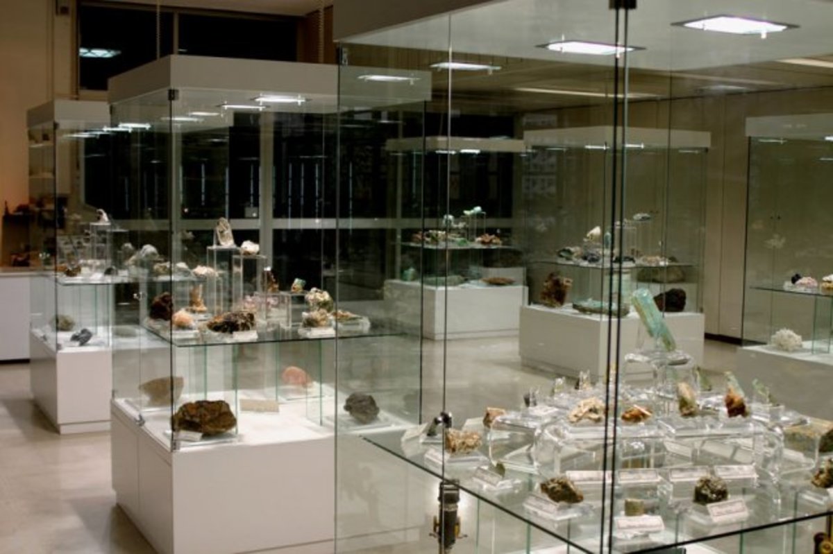 Το Μουσείο Παλαιοντολογίας και Γεωλογίας γιορτάζει τη Διεθνή Ημέρα Μουσείων