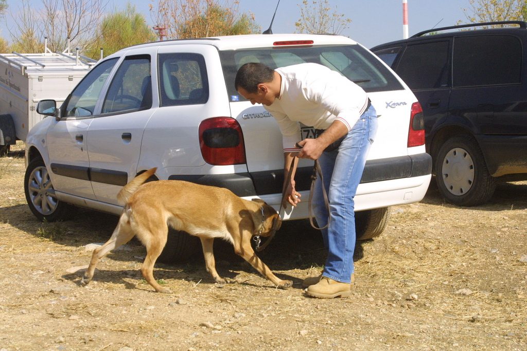 Το χασίς ήταν κρυμμένο στο πορτ παγκάζ του αυτοκινήτου - ΦΩΤΟ EUROKINISSI