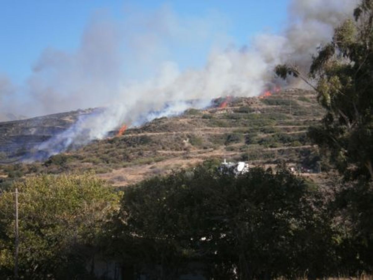 Στις φλόγες δύσβατη περιοχή στη Νάξο (VIDEO)