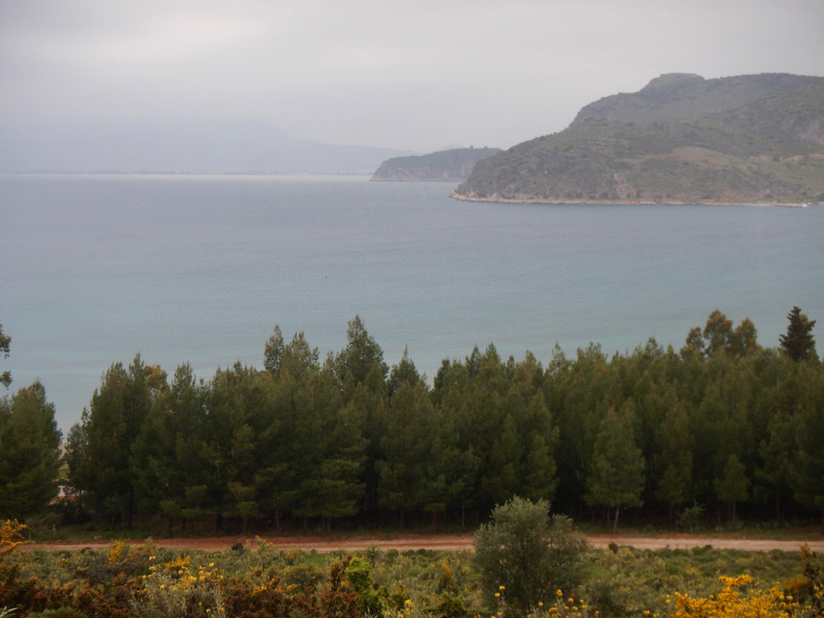 Καιρός: Ομίχλη και… “δροσιά”! Αναλυτική πρόγνωση