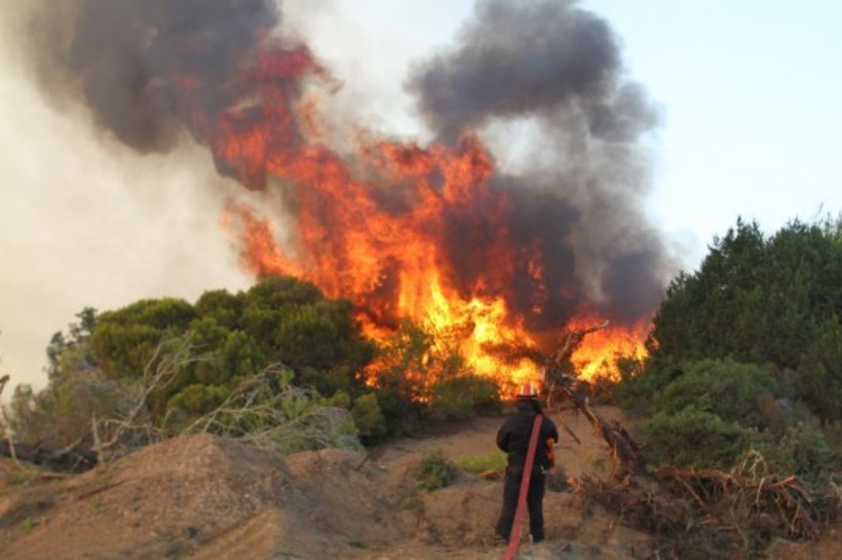 Υψηλός κίνδυνος πυρκαγιάς τη Δευτέρα – Ποιες περιοχές βρίσκονται στο “κόκκινο”