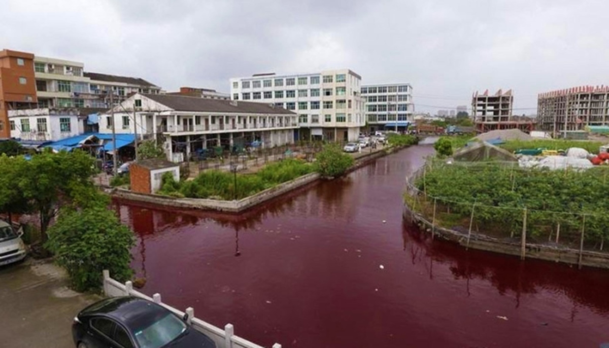 Το ποτάμι που βάφτηκε κόκκινο! Τρόμος σε μία ολόκληρη πόλη