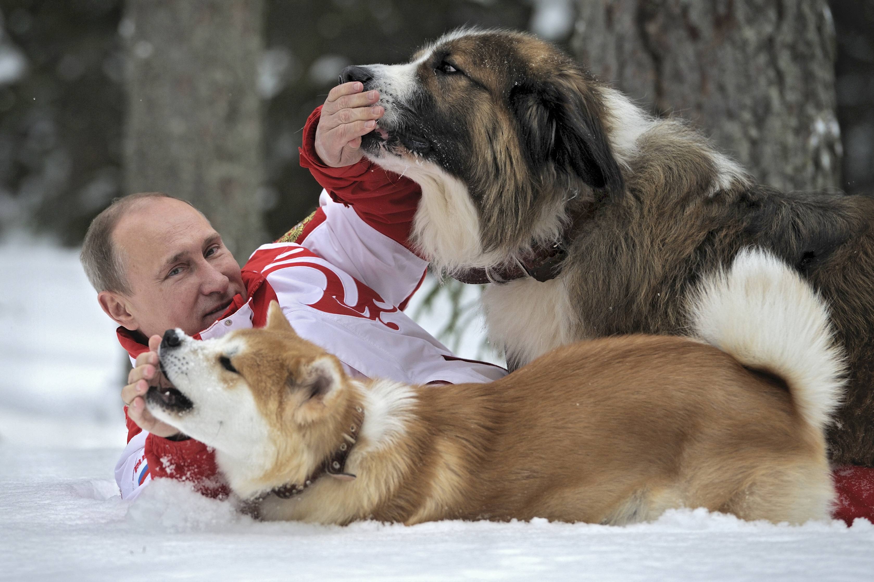 Όταν ο Βλαντιμίρ Πούτιν φόρεσε τη φόρμα του και βγήκε να παίξει στο χιόνι με τα σκυλιά του (ΦΩΤΟ)