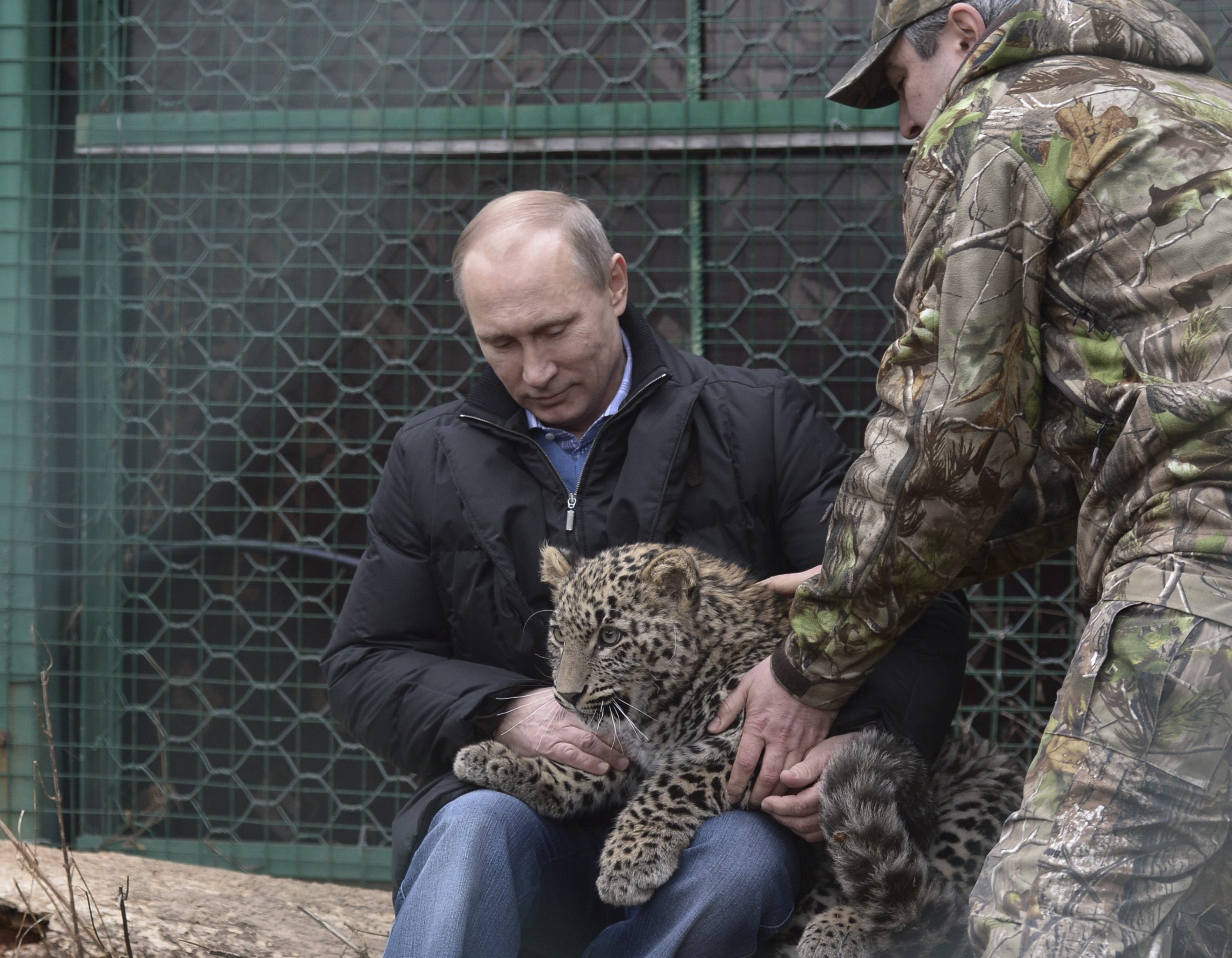 Ο Πούτιν και η λεοπάρδαλη (ΦΩΤΟ)