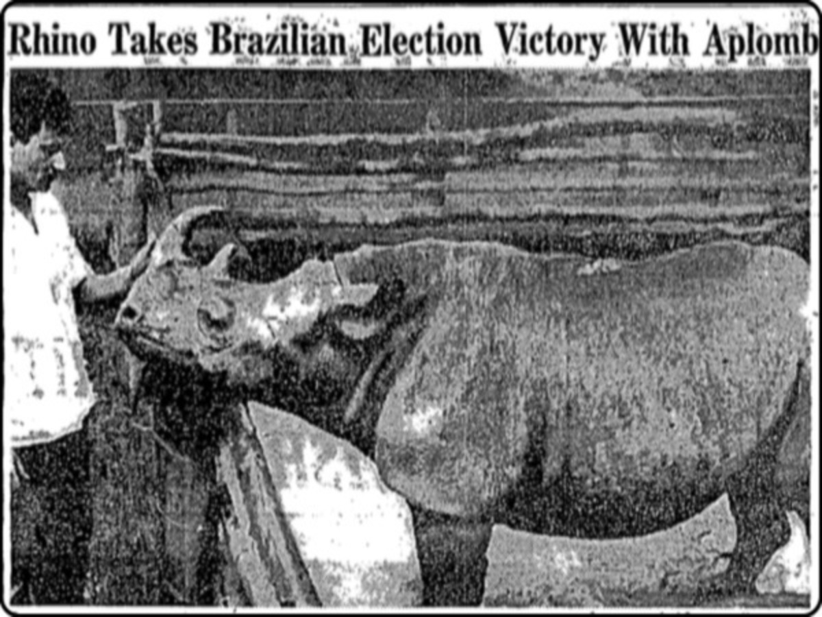 Ολυμπιακοί Ρίο 2016: Όταν οι Βραζιλιάνοι ψήφισαν έναν… ρινόκερο στο δημοτικό συμβούλιο!