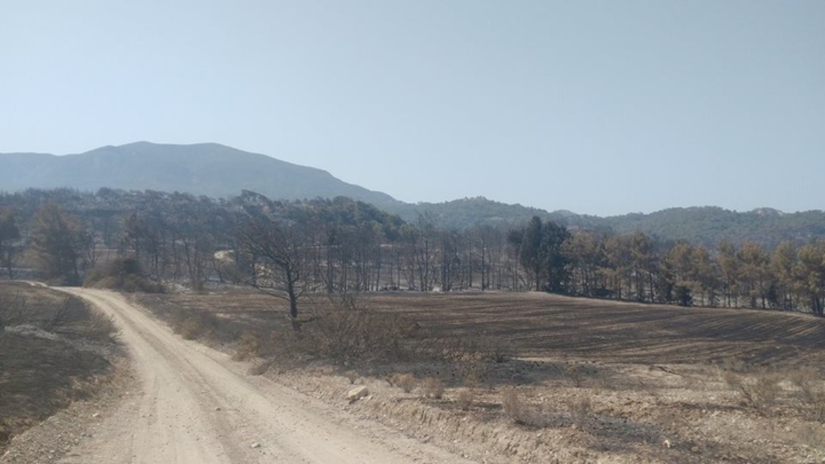 ΦΩΤΟ από rodiaki