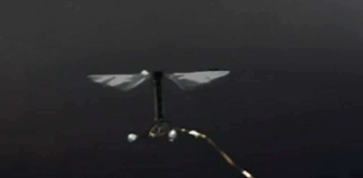 ΒΙΝΤΕΟ: Το πρώτο μικροσκοπικό ιπτάμενο ρομπότ