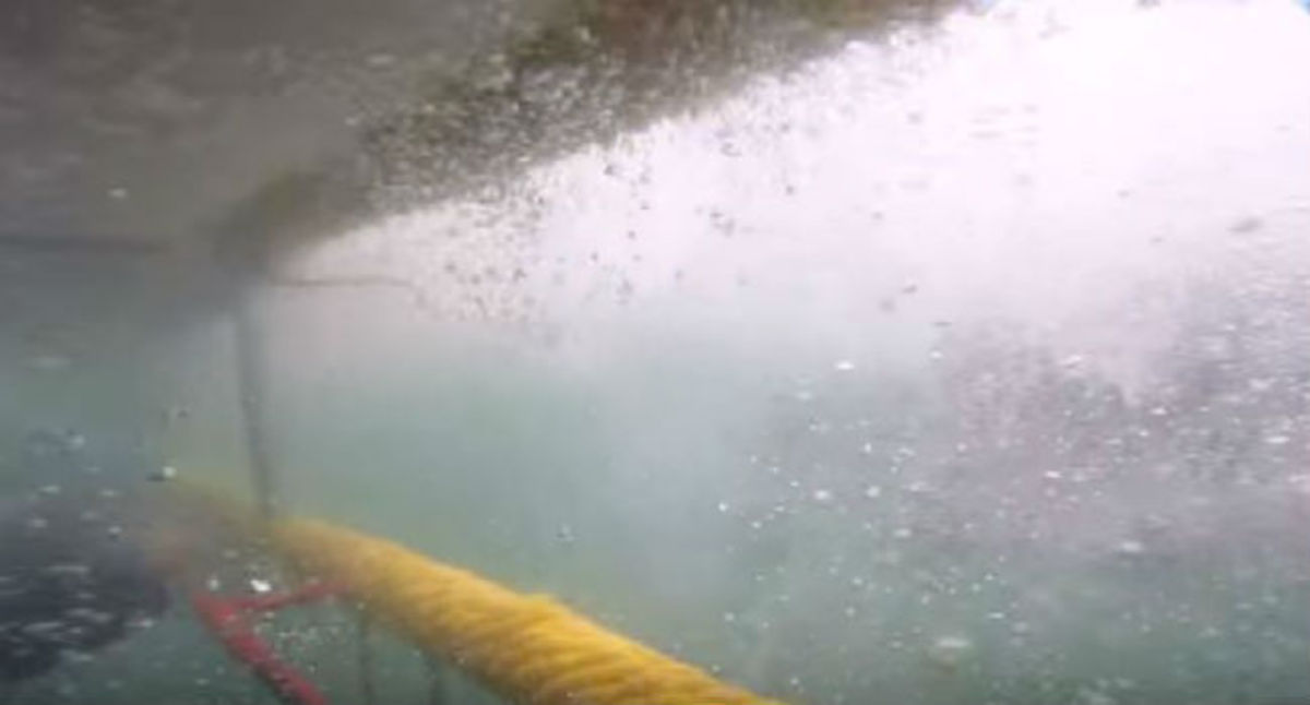 Σοκαριστικό βίντεο: Γλίτωσαν από τα σαγόνια λευκού καρχαρία για λίγα εκατοστά!