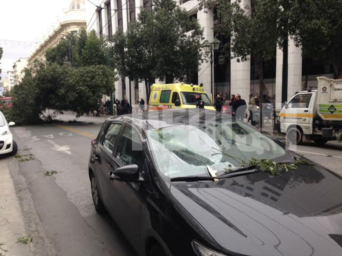 Δέντρο 30 μέτρων έπεσε πάνω σε αυτοκίνητο στη Σταδίου! Σώα η οδηγός – Τραυματίστηκε ελαφρά ένας άνδρας