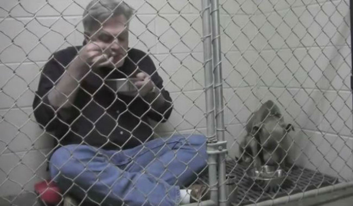 Συγκινητικό βίντεο: Kτηνίατρος μπήκε στο κλουβί μαζί με ένα άρρωστο σκυλάκι για να φάνε μαζί!