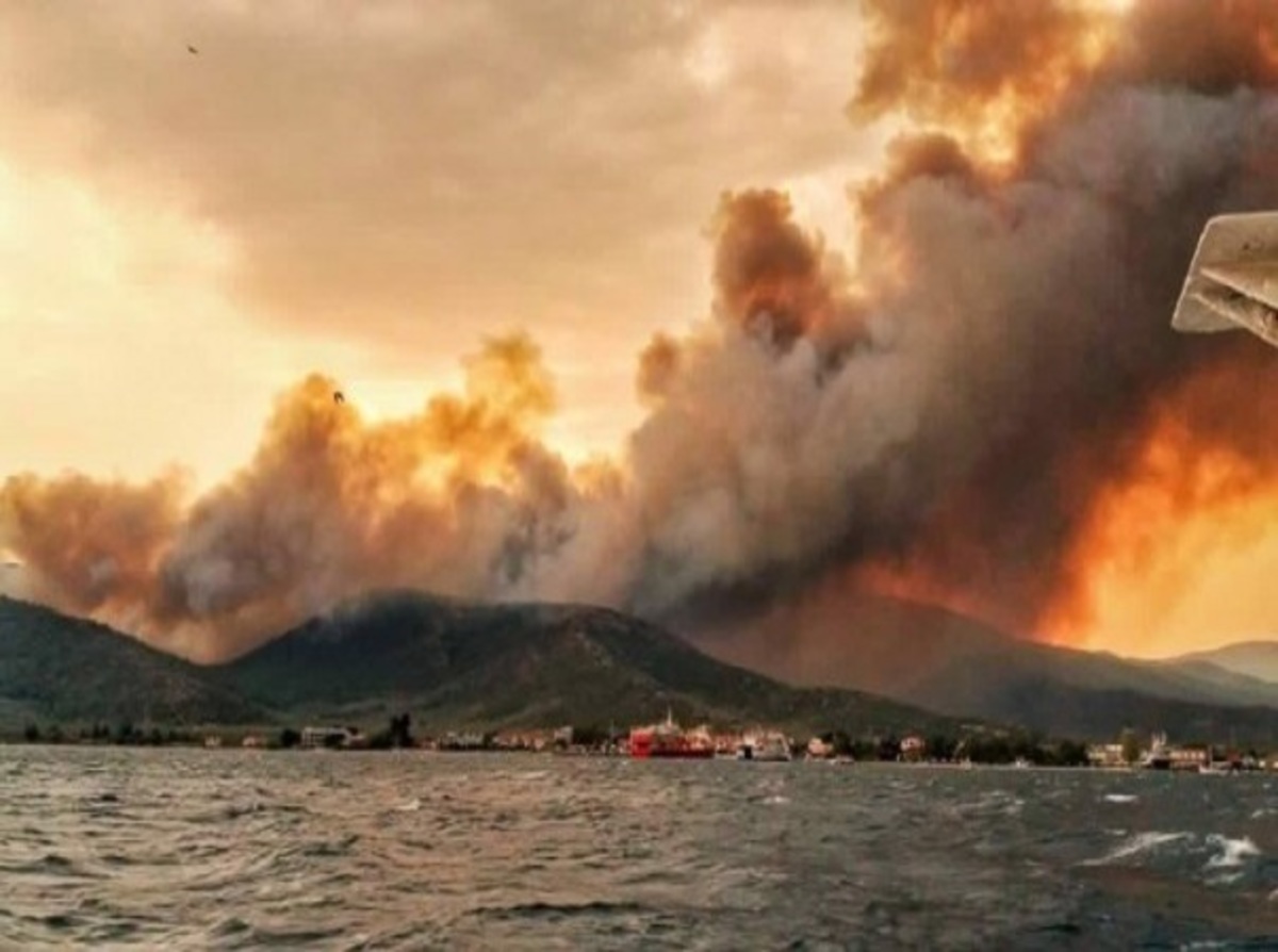 Φωτιά στη Θάσο: Κάηκαν σπίτια, απειλούνται οικισμοί! Σε κατάσταση έκτακτης ανάγκης το νησί