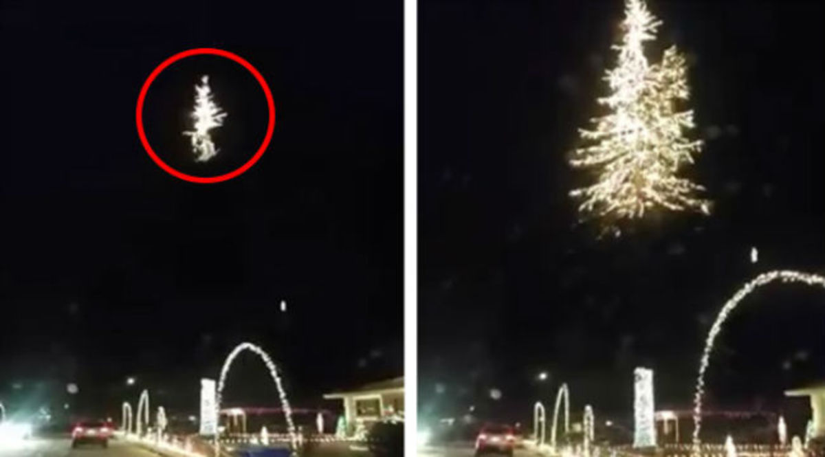 Οδηγούσαν και αναγκάστηκαν να παρκάρουν το αυτοκίνητο όταν αντίκρισαν τον φωτισμό αυτού του χριστουγεννιάτικου δέντρου!