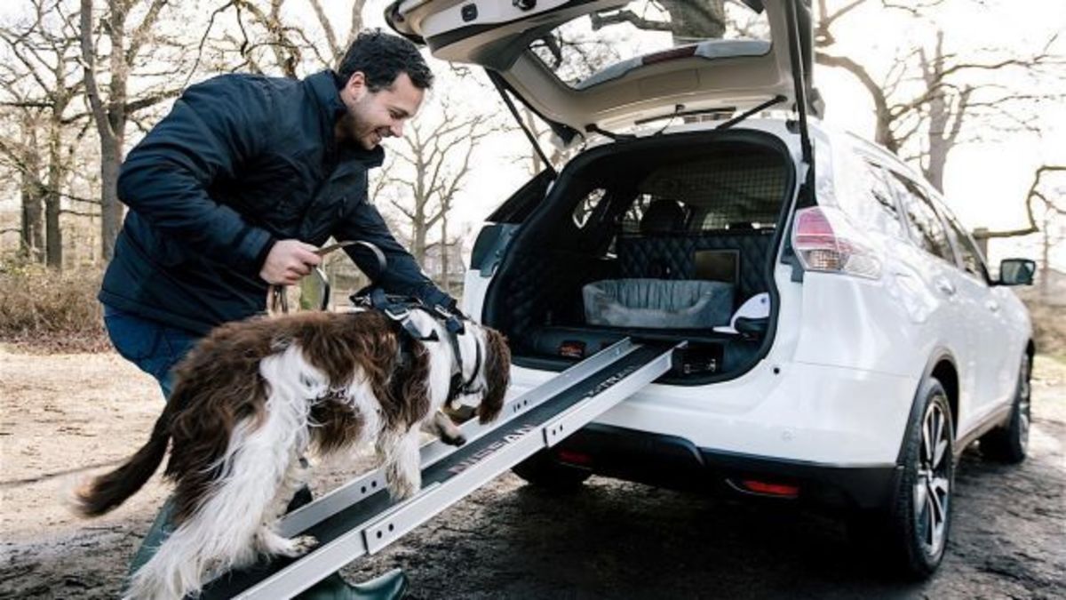 H Nissan έφτιαξε το ιδανικό αυτοκίνητο για ζωόφιλους [vid]