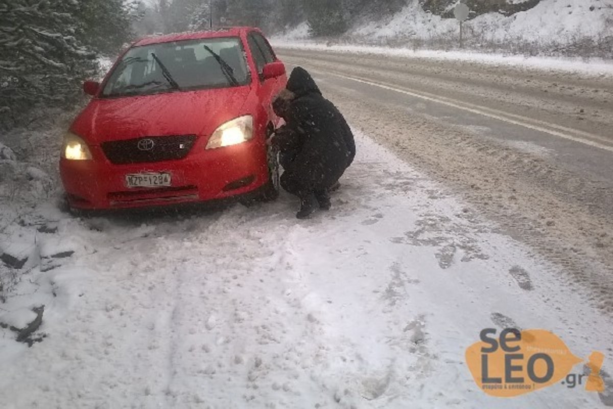 ΦΩΤΟ από seleo.gr