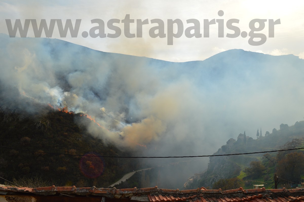 Σε εξέλιξη φωτιά στη Χίο – Καίει δασική έκταση κοντά σε χωριό