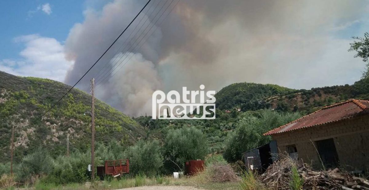 Επικίνδυνη φωτιά στα Ροδινά Ηλείας – Οι εικόνες της πυρκαγιάς και οι μαρτυρίες [pics, vids]