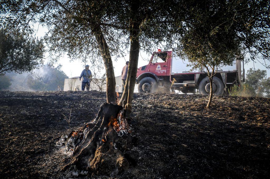 Ηλεία: Συνεχίζεται η μάχη με τις φλόγες, καλύτερη η εικόνα