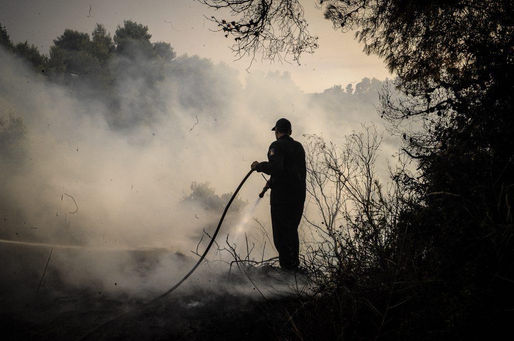 Φωτιά στην Ηλεία: Δύο τα μέτωπα