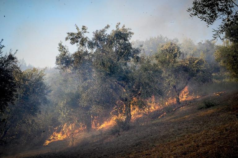 Φωτιά στο Μενίδι! Στο “πόδι” η Πυροσβεστική