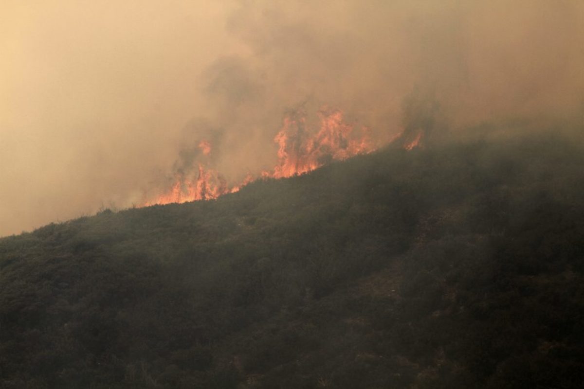 Μεσσηνία: Φωτιά τώρα στην περιοχή Άγιος Αθανάσιος – Σε εξέλιξη η μάχη της κατάσβεσης!