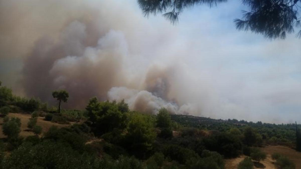 Μεγάλη φωτιά κοντά σε χωριό του Αγρινίου! [vid]