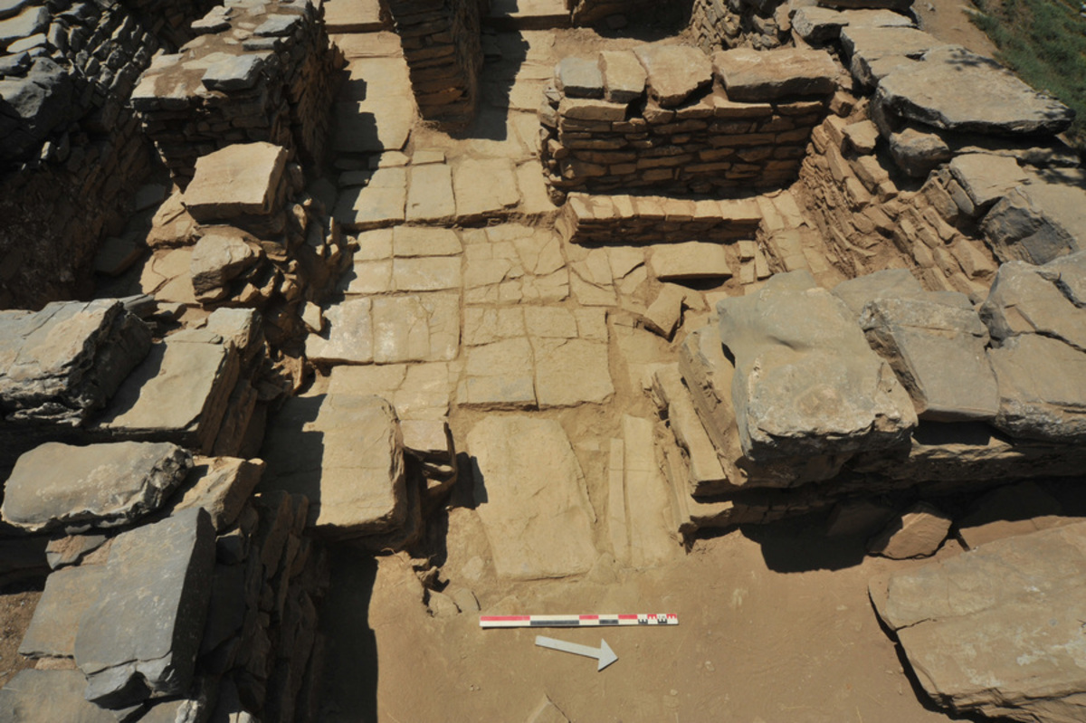 Ισραήλ:  Ανακαλύφθηκαν αρχαία ελληνικά πατητήρια σταφυλιών
