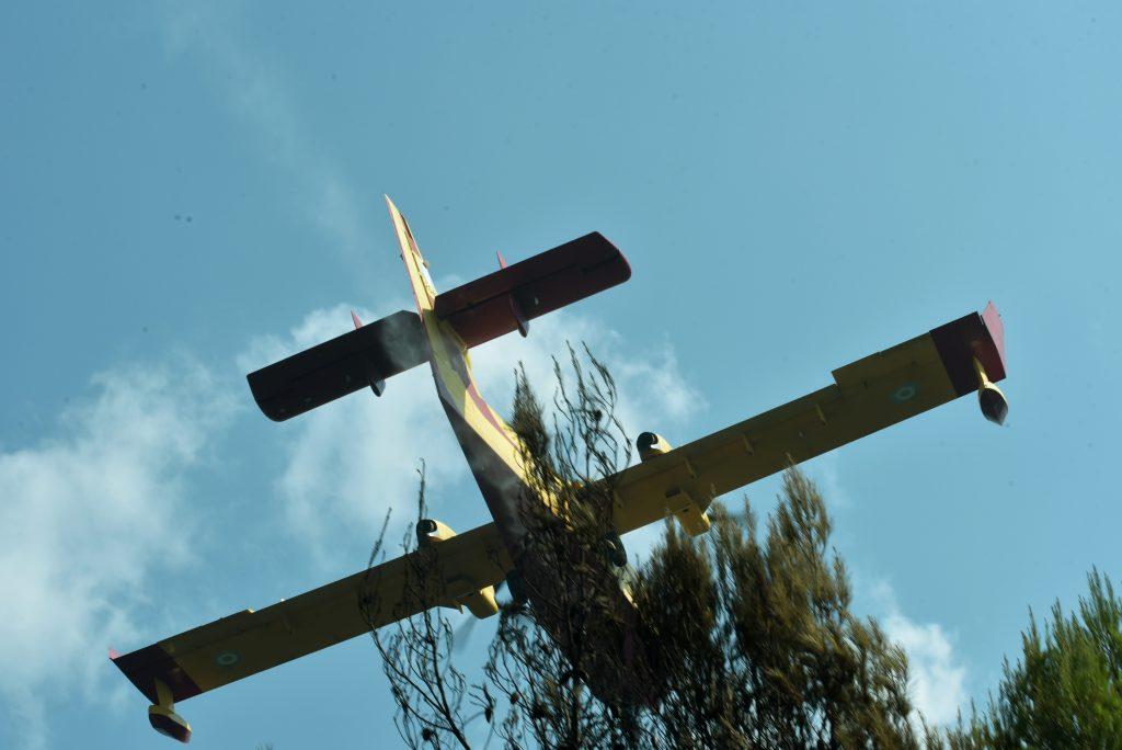 Βοιωτία: Φωτιά σε δασική έκταση στην Ασωπία