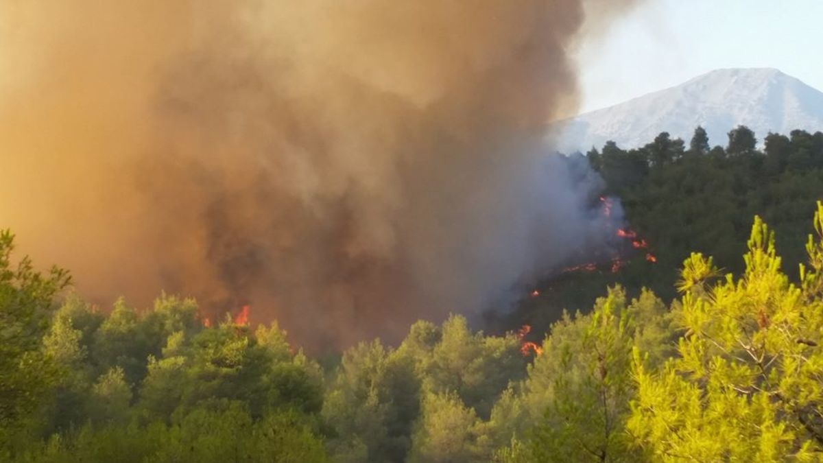 Εύβοια: Η φωτιά κατακαίει τα πάντα στο πέρασμα της για δεύτερη μέρα