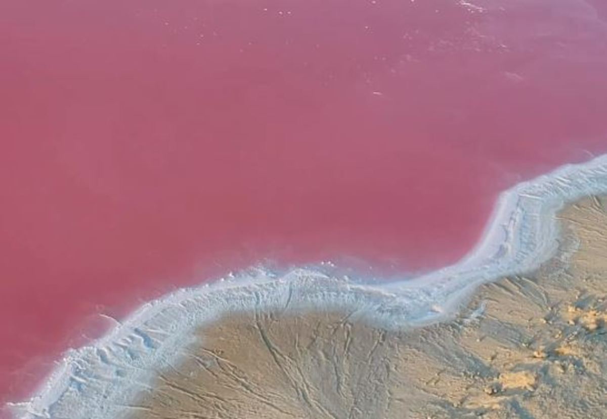 Las Coloradas: Μια ροζ θαλάσσια οπτασία…