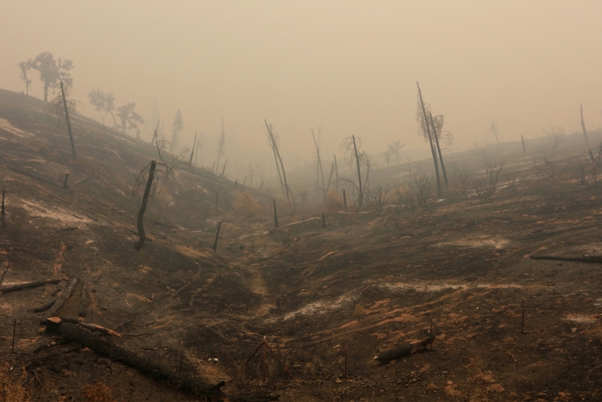 Σε φονικό πύρινο κλοιό η Καλιφόρνια – 17 μεγάλες πυρκαγιές