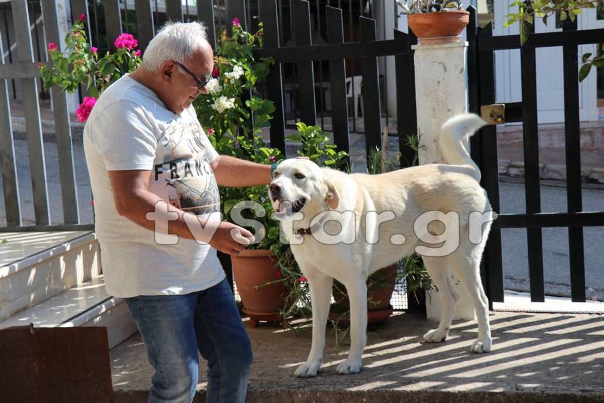 Φθιώτιδα: Πρόστιμο 500 ευρώ γιατί… γαβγίζει ο σκύλος του!