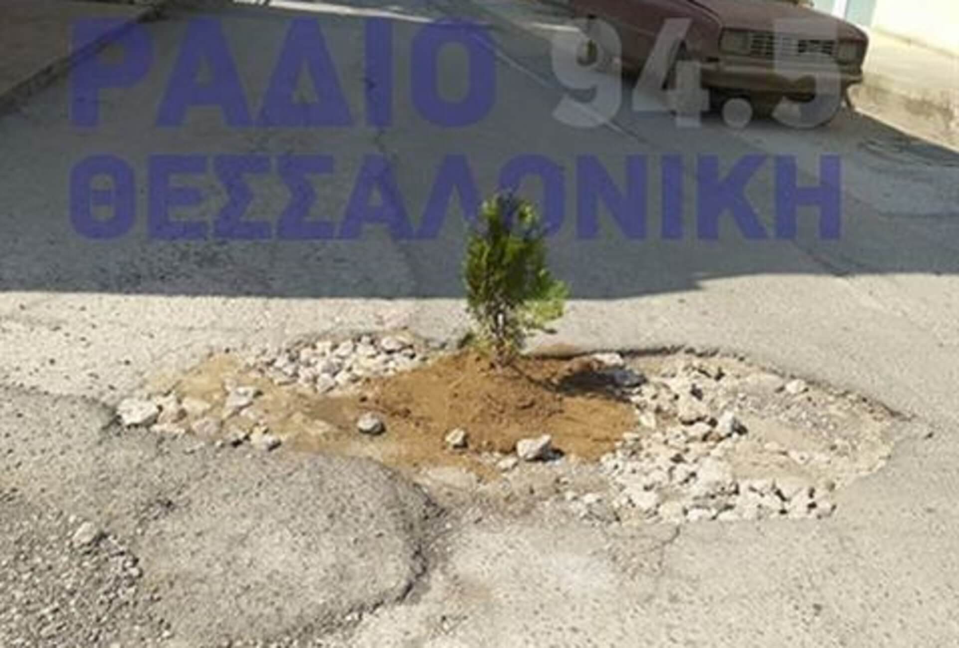 Θεσσαλονίκη: Φύτεψε… δέντρο σε λακκούβα στη μέση του δρόμου! [pics]