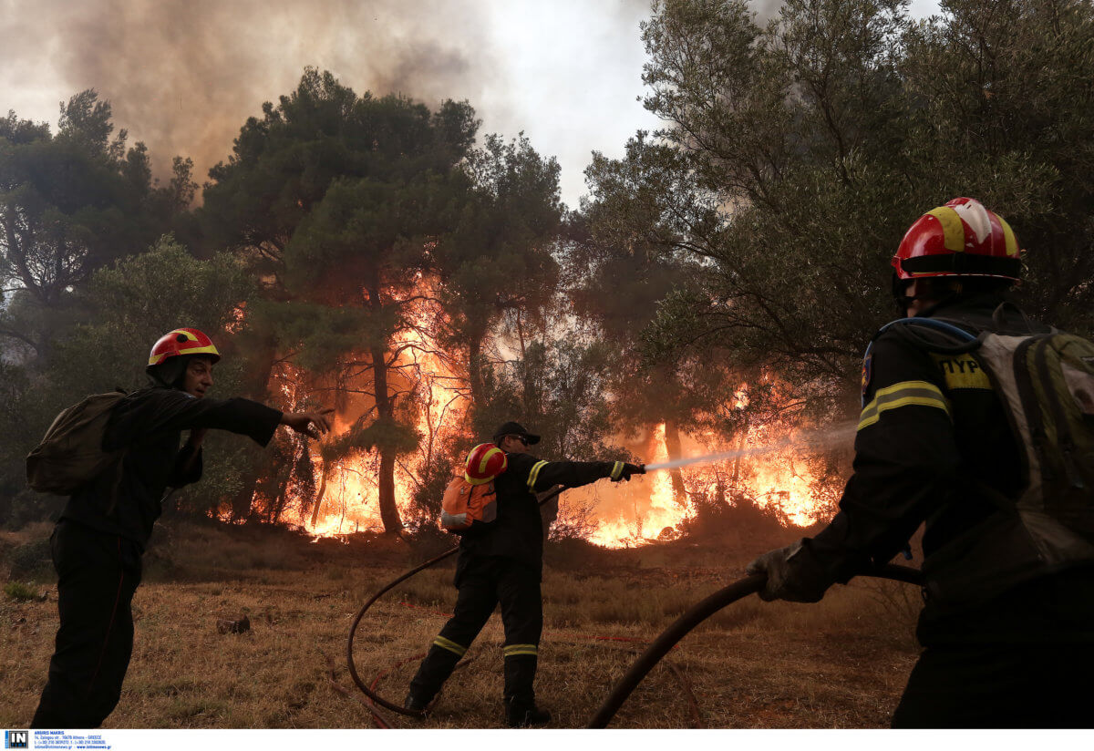 Φωτιά στις Πλαταιές Βοιωτίας – Ισχυροί άνεμοι πνέουν στην περιοχή