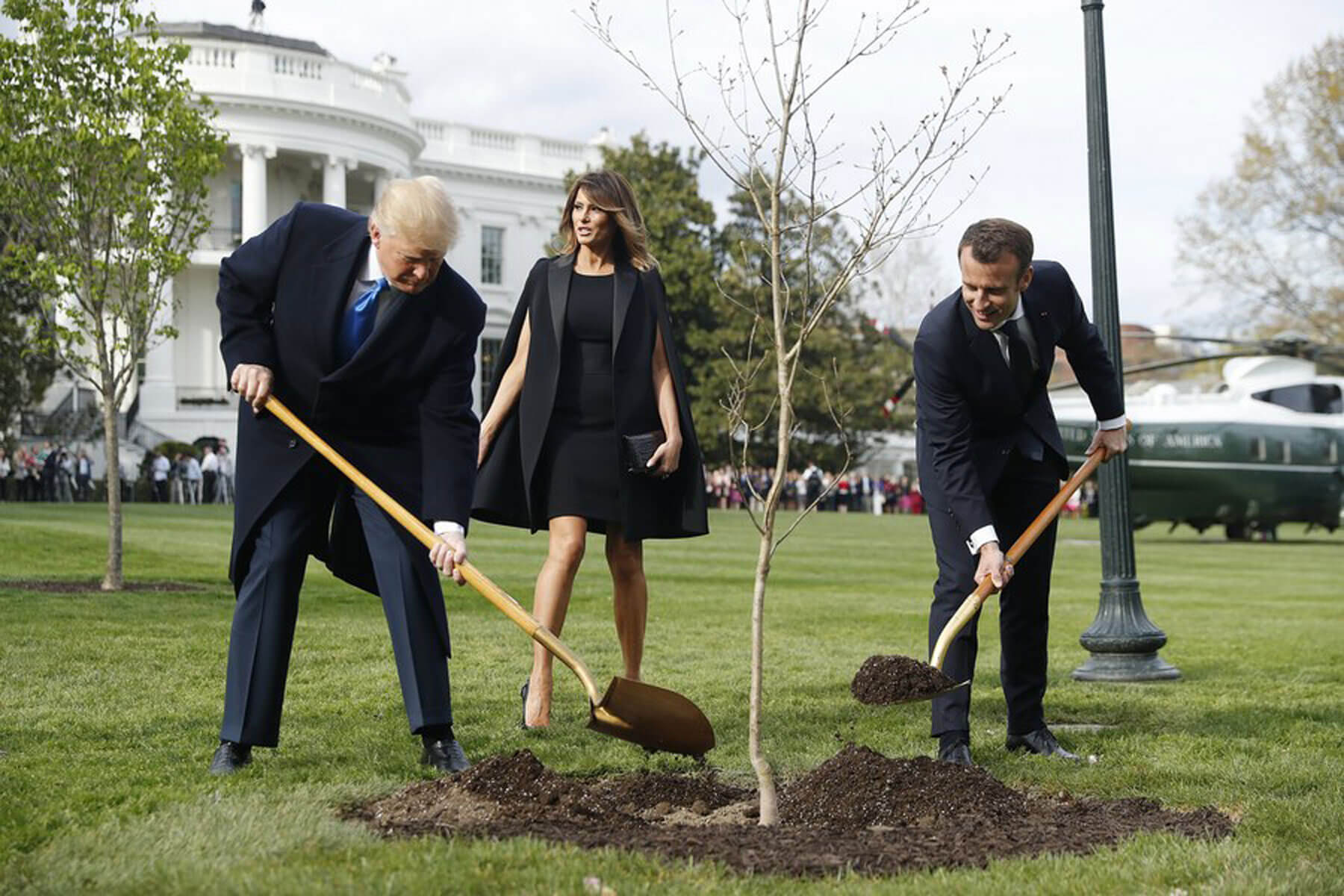 «Πέθανε» το δέντρο που φύτεψαν Τραμπ – Μακρόν στον Λευκό Οίκο