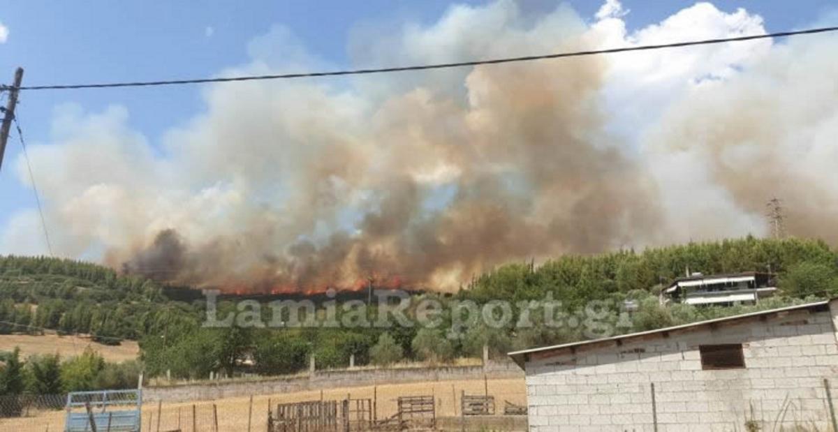 Μεγάλη φωτιά στη Δυτική Φθιώτιδα! [pics]