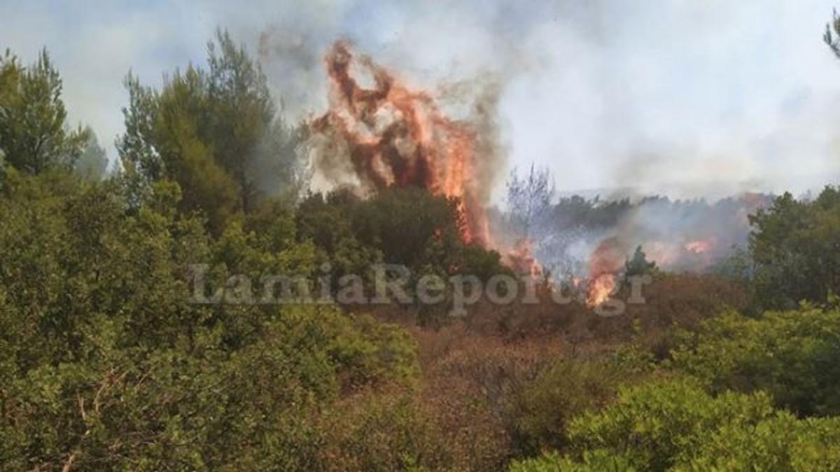 Φωτιά στο Μαρτίνο Φθιώτιδας