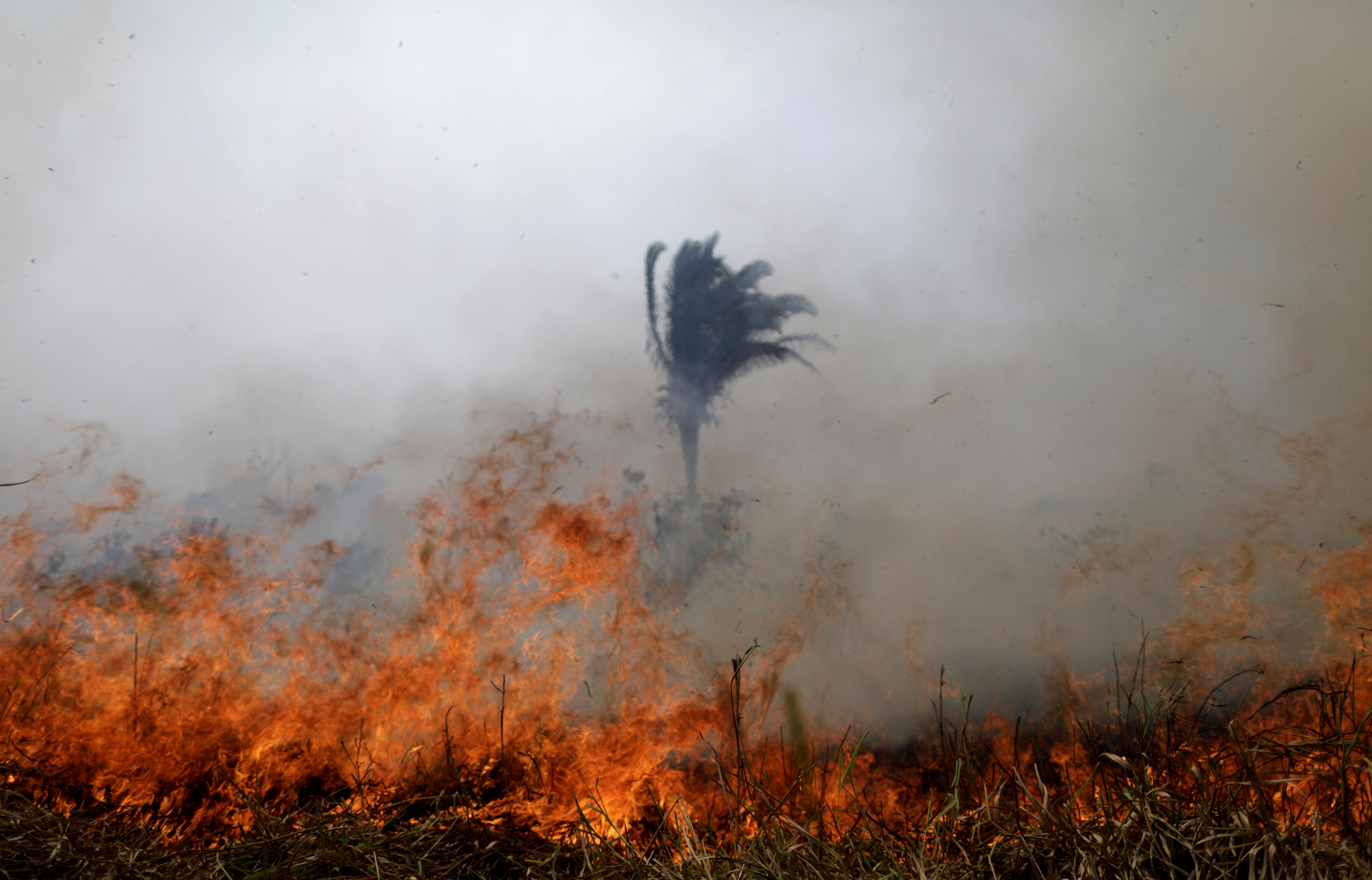 Οικολογική τραγωδία χωρίς τέλος στον Αμαζόνιο – Εκατοντάδες νέες φωτιές